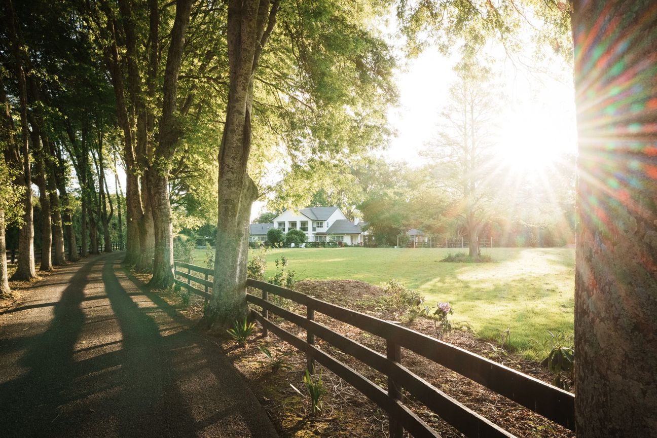 Walk into Hillcrest from this home - Widok 5