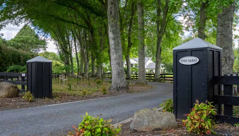 53 Poplar Lane, Matangi