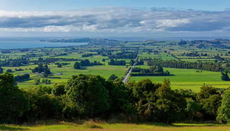 759 Mount Fyffe Road, Kaikoura