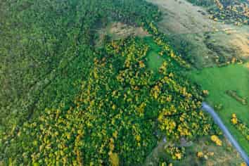 759 Mount Fyffe Road, Kaikoura