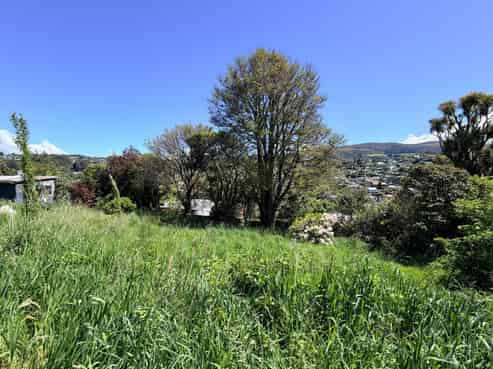 36A Falcon Street, Kaikorai