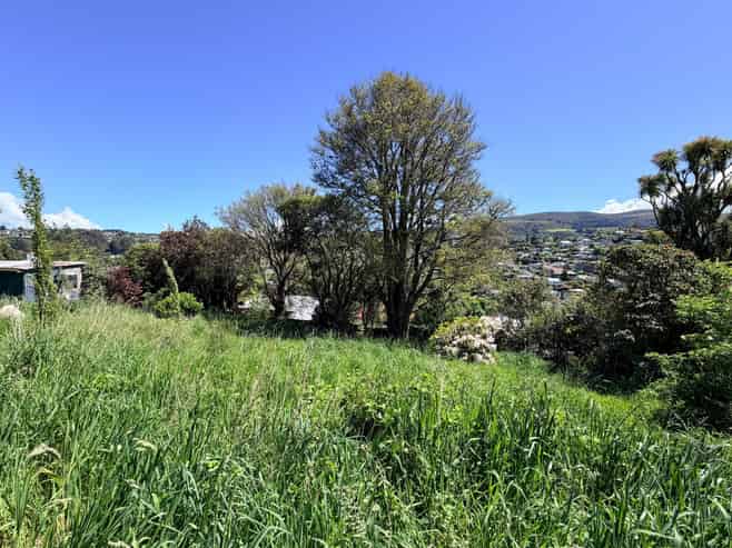 36A Falcon Street, Kaikorai