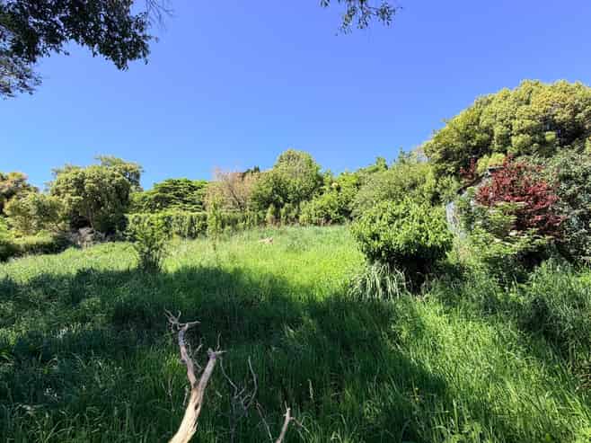 36A Falcon Street, Kaikorai