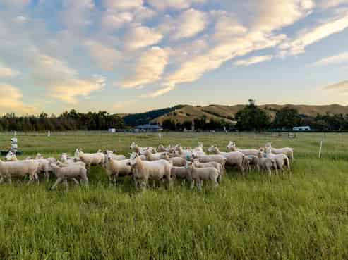 136 Hardings Road, Riverlands