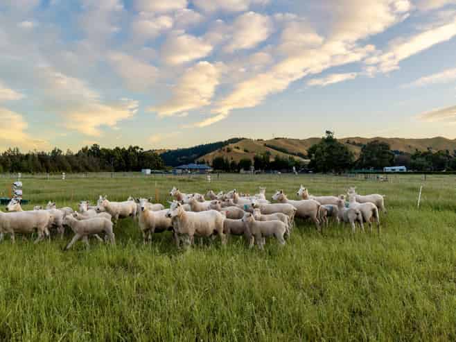 136 Hardings Road, Riverlands