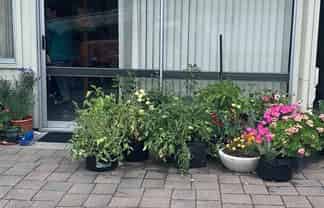 4a Alberta Street, Acacia Bay