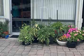 4a Alberta Street, Acacia Bay