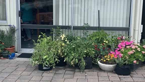 4a Alberta Street, Acacia Bay