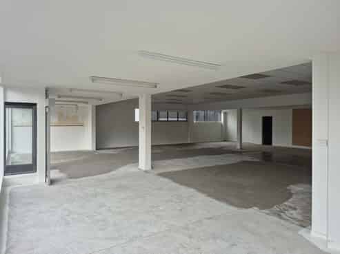 Showcase Your Business On King Street