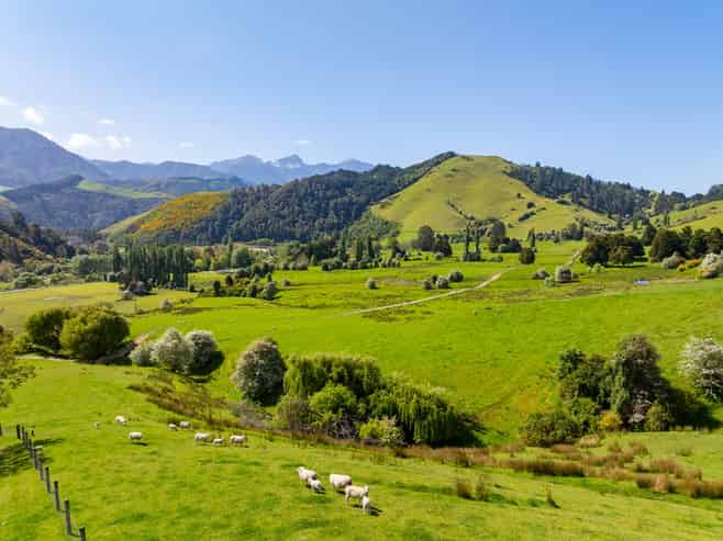 2323 Motueka Valley Highway, Ngatimoti