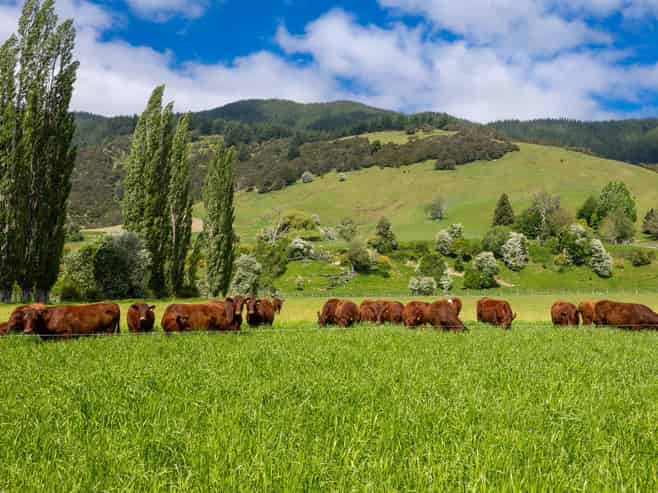 2323 Motueka Valley Highway, Ngatimoti