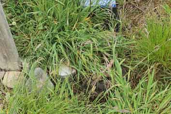 5 Cranfield Place, Waimate