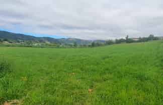 5 Cranfield Place, Waimate