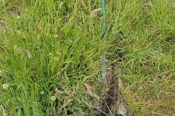 5 Cranfield Place, Waimate