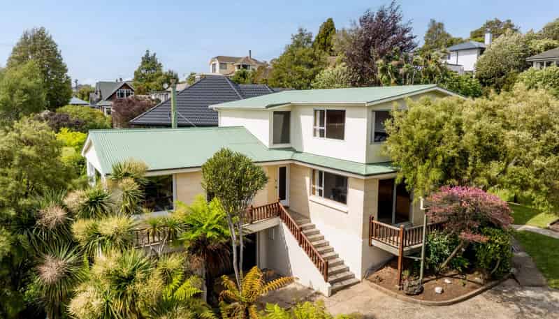 103 Braeview Cres, Maori Hill