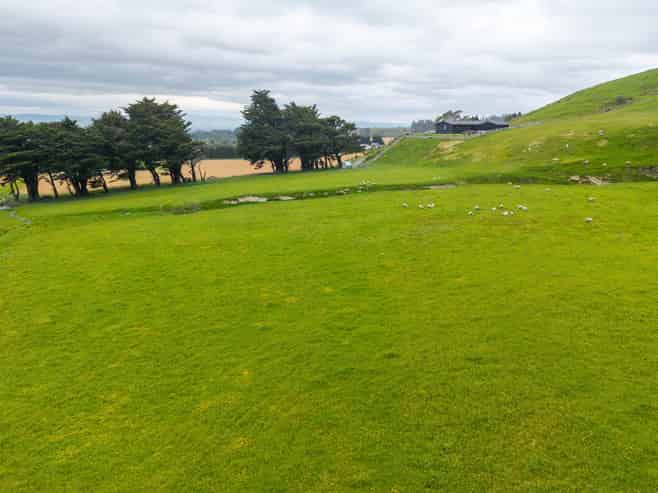 777 Kumeti Road, Dannevirke