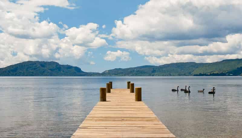 919D State Highway 30, Tikitere