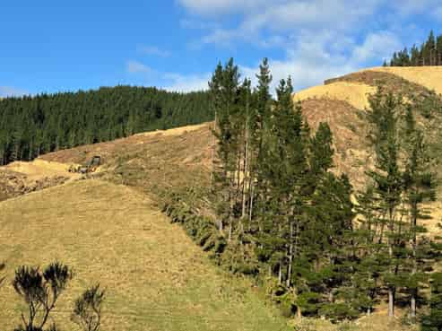 127 Russells Road, Whitemans Valley