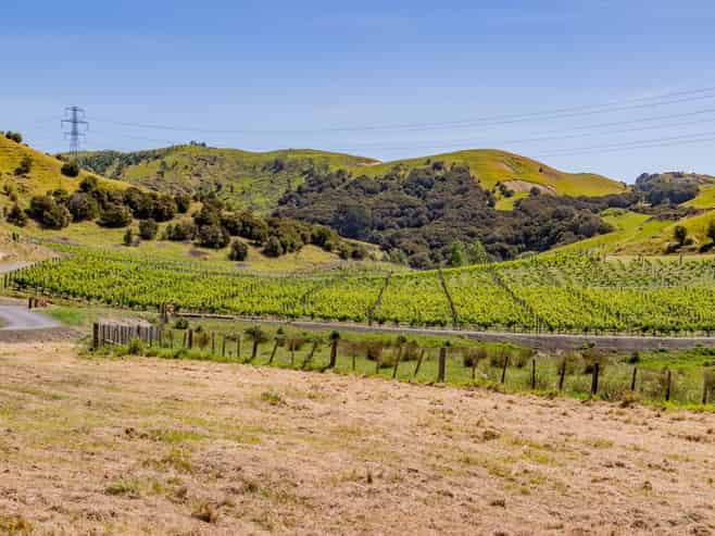 Lot 8 Eskridge Drive, Bay View