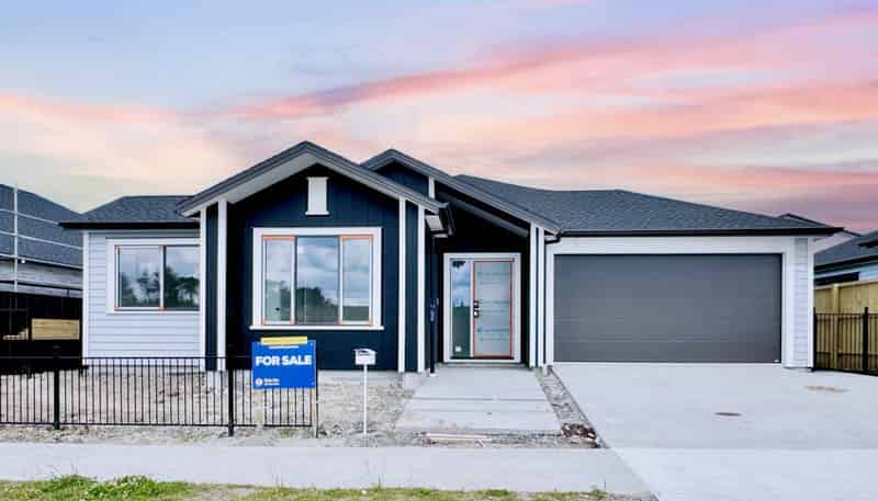 393 Te Taruna Drive, Milldale