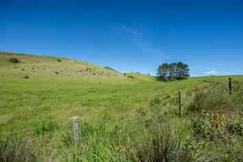 42 Redhill Cemetery Road, Te Kopuru