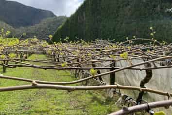 214 Puketui Valley Road, Hikuai