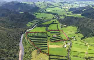 214 Puketui Valley Road, Hikuai