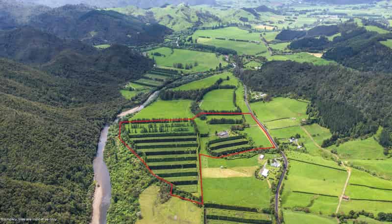 214 Puketui Valley Road, Hikuai