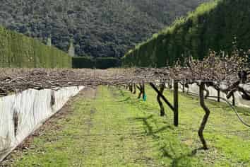 214 Puketui Valley Road, Hikuai