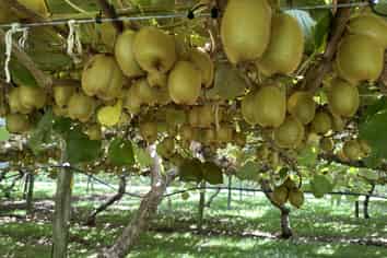 214 Puketui Valley Road, Hikuai