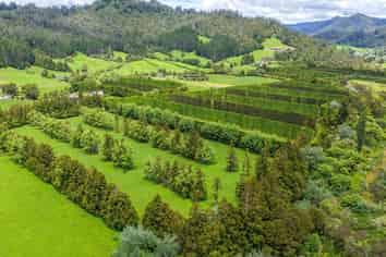 214 Puketui Valley Road, Hikuai