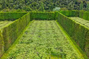 214 Puketui Valley Road, Hikuai