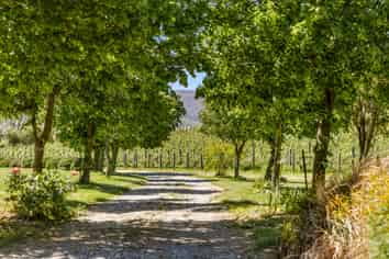 6 Thomson Gorge Road, Tarras