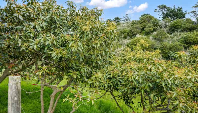 71 Hukatere Road, Houhora