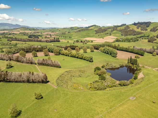 774 Buckland Road, Matamata