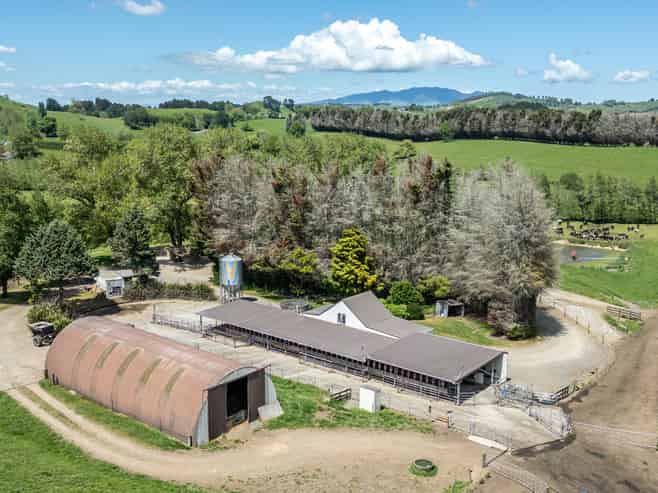 774 Buckland Road, Matamata