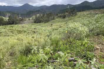  Iwitaua Road, Kaitaia