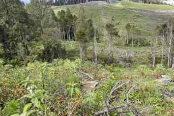  Iwitaua Road, Kaitaia