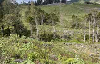  Iwitaua Road, Kaitaia