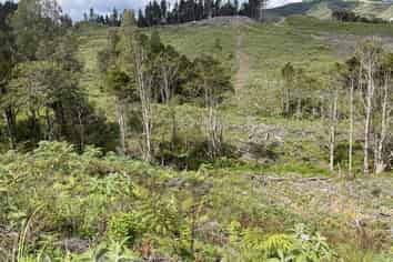  Iwitaua Road, Kaitaia