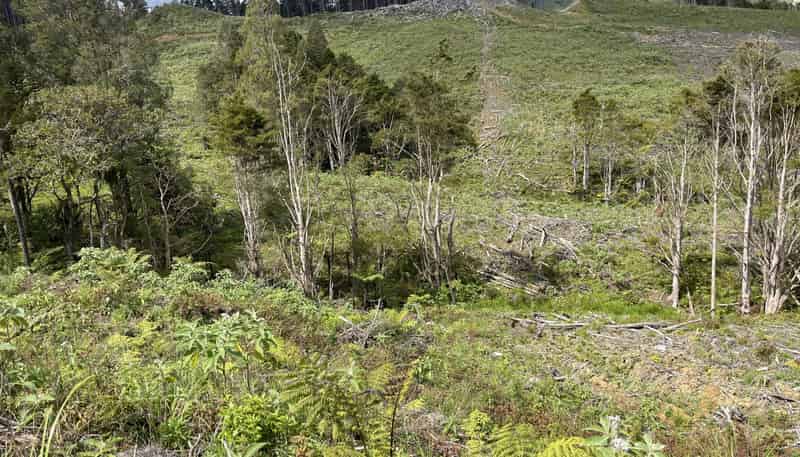  Iwitaua Road, Kaitaia