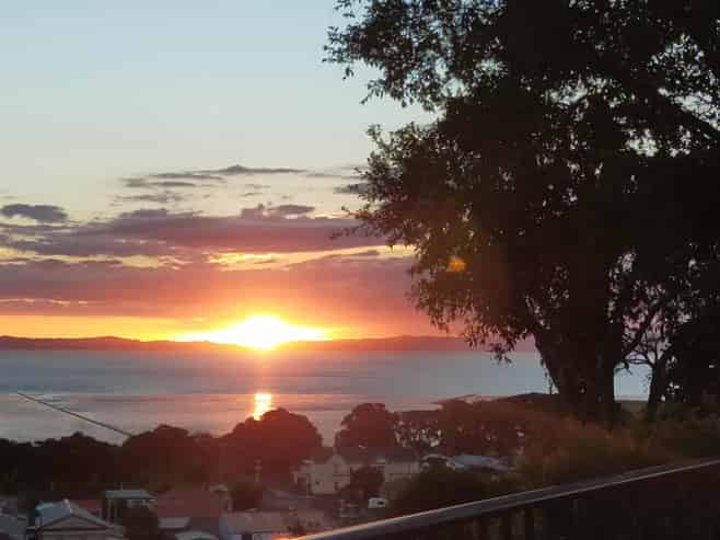 504 Upper Albert Street, Thames