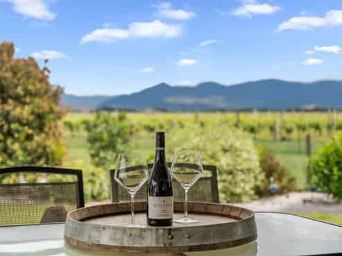 445 Dillons Point Road, Riverlands