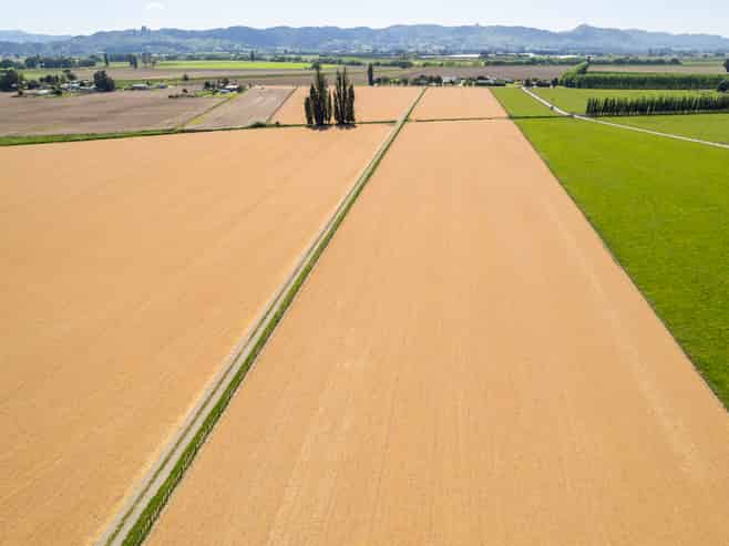  Lavenham Road, Waituhi