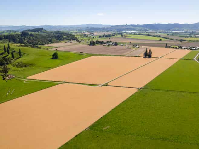  Lavenham Road, Waituhi