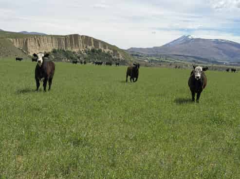 5582 Wedderburn-Becks Road and 755-971 Linnburn Runs Ro, Hills Creek