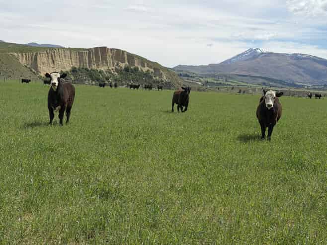 5582 Wedderburn-Becks Road and 755-971 Linnburn Runs Ro, Hills Creek