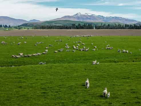 5582 Wedderburn-Becks Road, Hills Creek