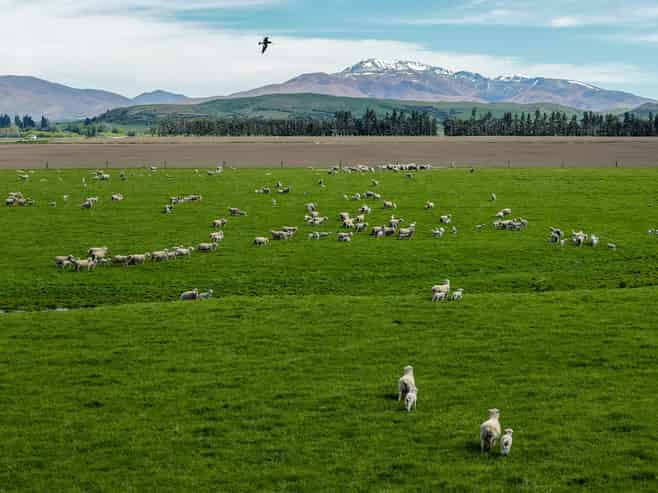 5582 Wedderburn-Becks Road, Hills Creek