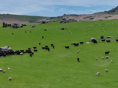 755-971 Linnburn Runs Road, Paerau